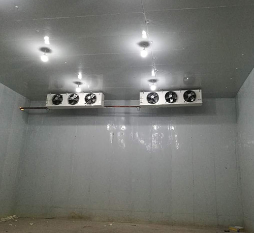 丹东保鲜库设备温控器显示温度与实际不符，校准后仍异常该怎么处理？